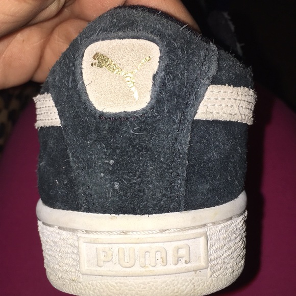 Pumas - Picture 4 of 4